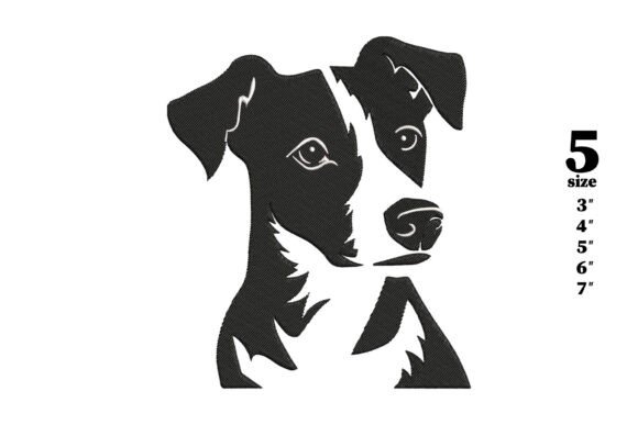 Jack Russell Terrier