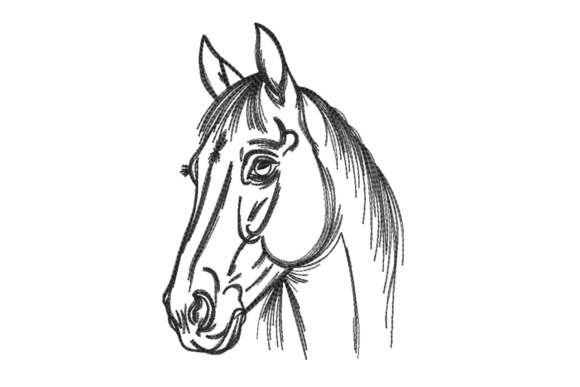 Sketch Horse Head – Single-Color Line: A Minimalist Gem for Personalized Embroidery