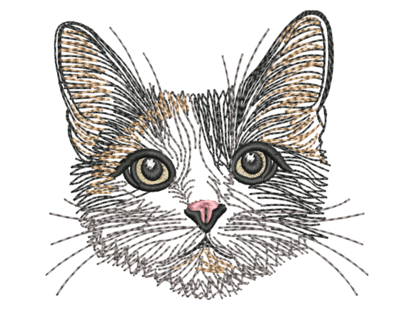 Sketch Style Calico Cat Face Review
